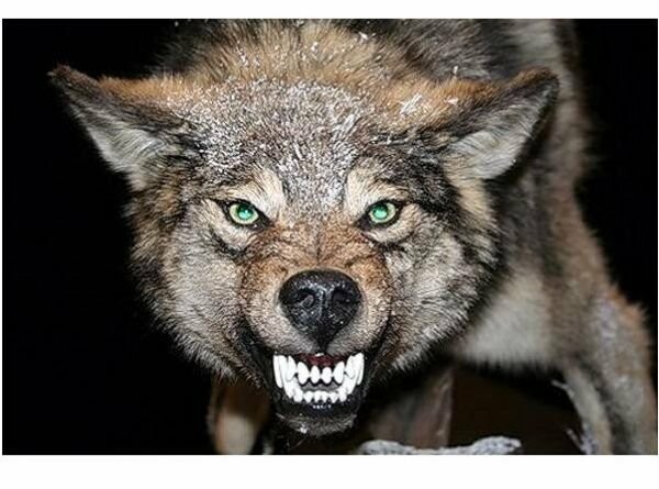  ���� �������� ���������� ������ ��������� ���������� ������� 