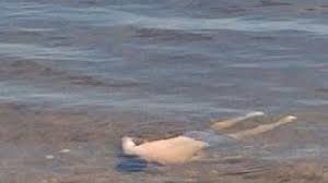 ����: 06153.com.ua