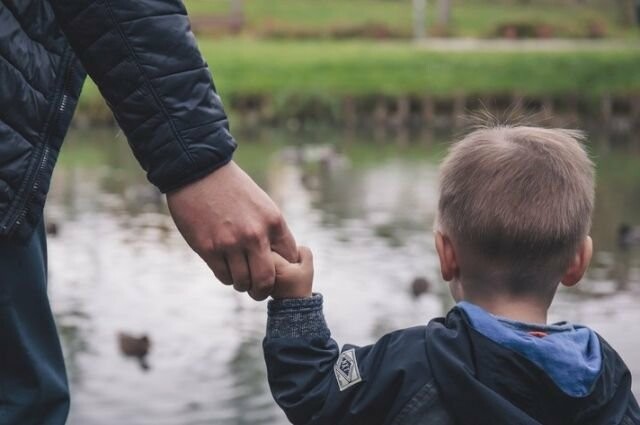  ���������� ��������� ������� ���������� �������� ������� 