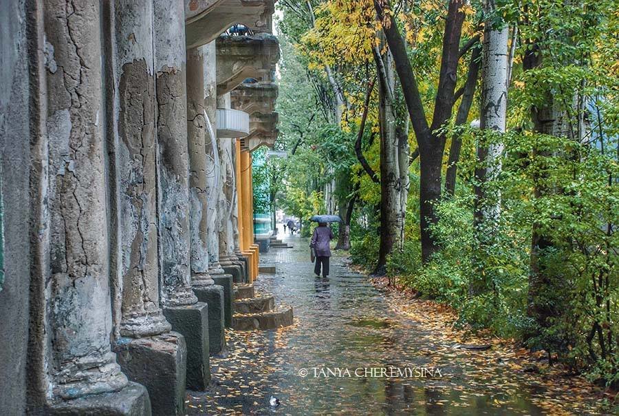  ������ �������� ����� ��������� 