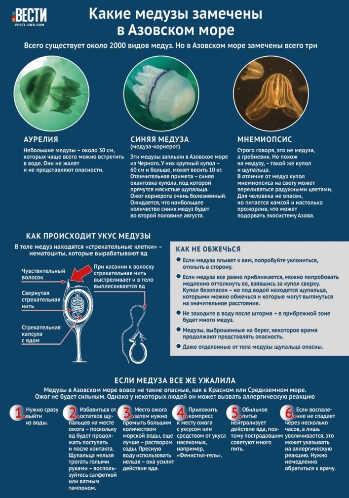  ������ ��������� ������ ��������� 