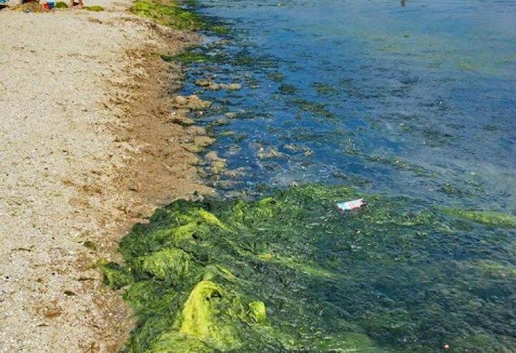  ���������� ������ ��������� ����� �������� �������� ���� ���� 