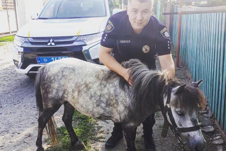  ���������� ������� ��������� ������� ���� �������� 