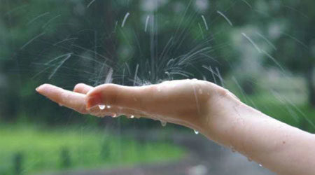  ����� ����� ������ �������� �������� 