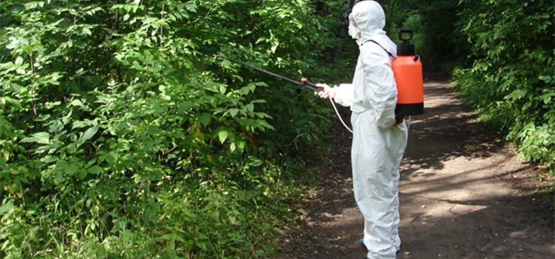  ��������� ������ ��������� �������� ������ ���������� 