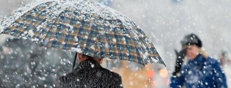  ��������� ��������� ������ ���� �������� ����� 