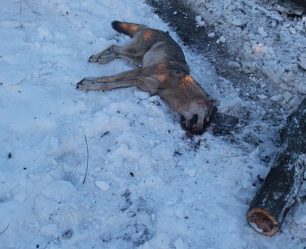  ������� ���������� ���������� ������ �������� ������� 