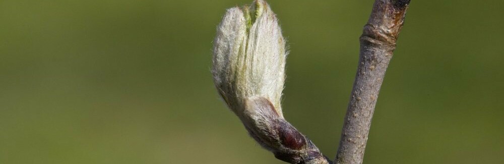  ������� ������ ����� 