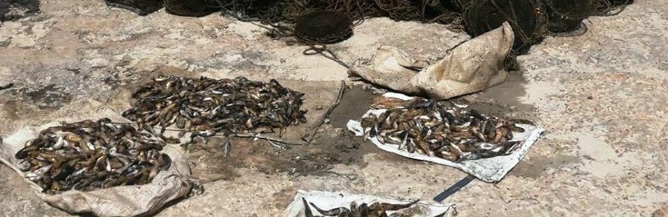  ���������� ������ ������� ��������� ��������� ����������� �������� ����� 