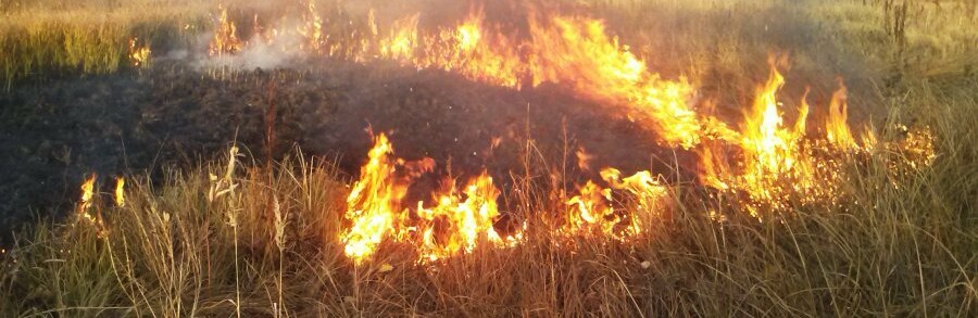  ���������� ������ ����� ��������� ���������� 