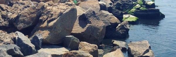  ��������� ������� ����� ���������� ����� ������� 