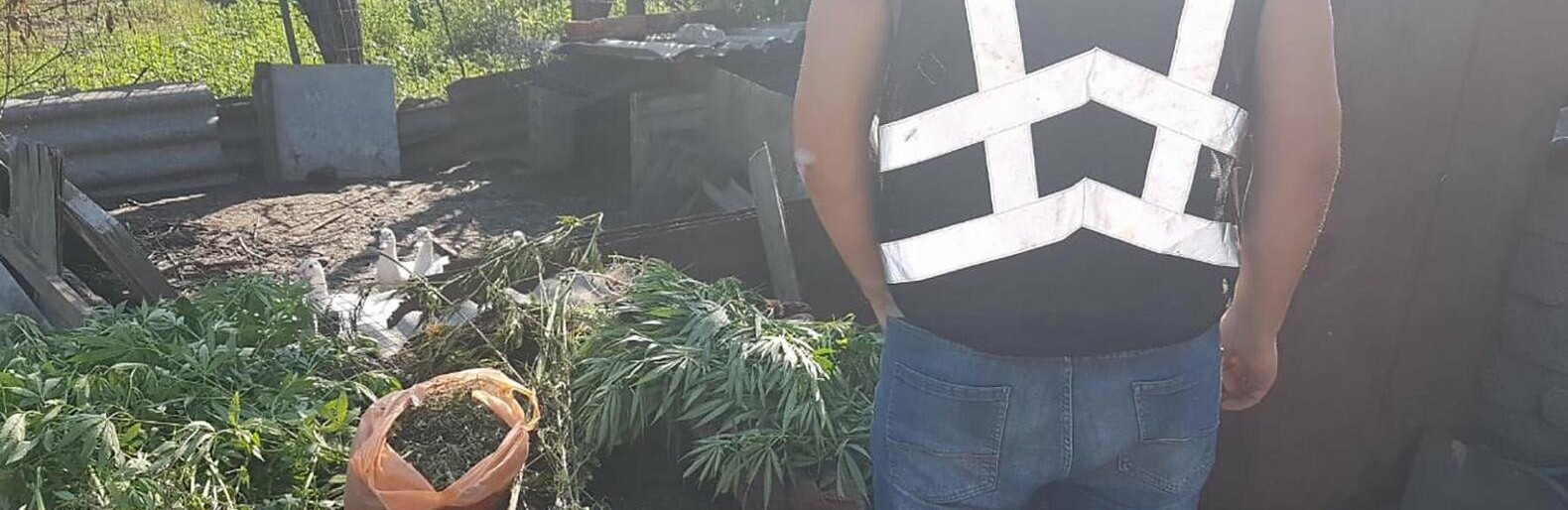  ������� ���������� ������ ������ ��������� 120 ������ 