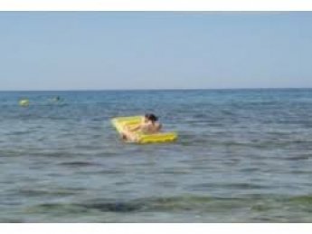  ��������� ������ ������� �������� ���� �������� ������� 