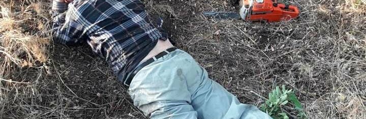  ����������� ��������� ��������� ��������-���������� 