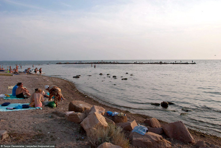  ����� �������� �������� ����������� ������� 