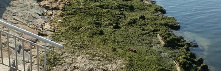  ���� ������ ��������� ������� ���������� ����� 