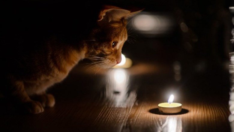  ��������� ����� 