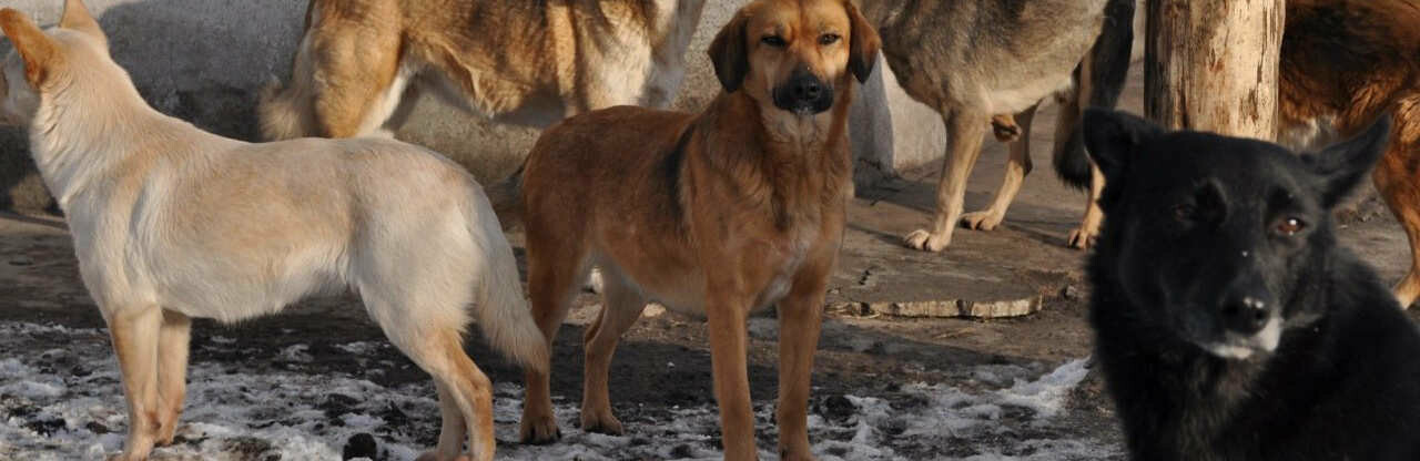  ���������� ����� �������� �������� ����� ����� ����� �������� 