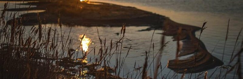  ���������� ���� ��������� 