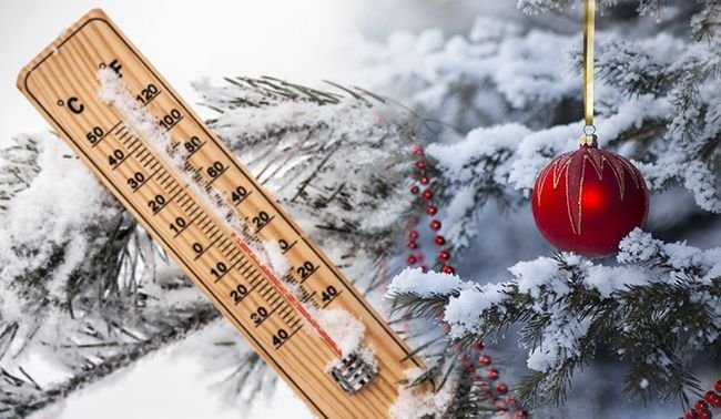  �������� ������� ������� ����� 