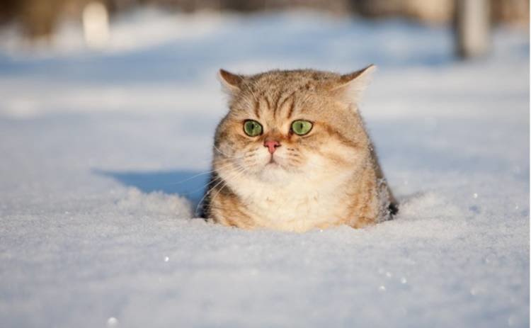  ��� ������ ��������� 