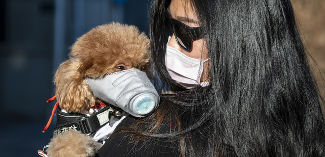 ����: 06153.com.ua