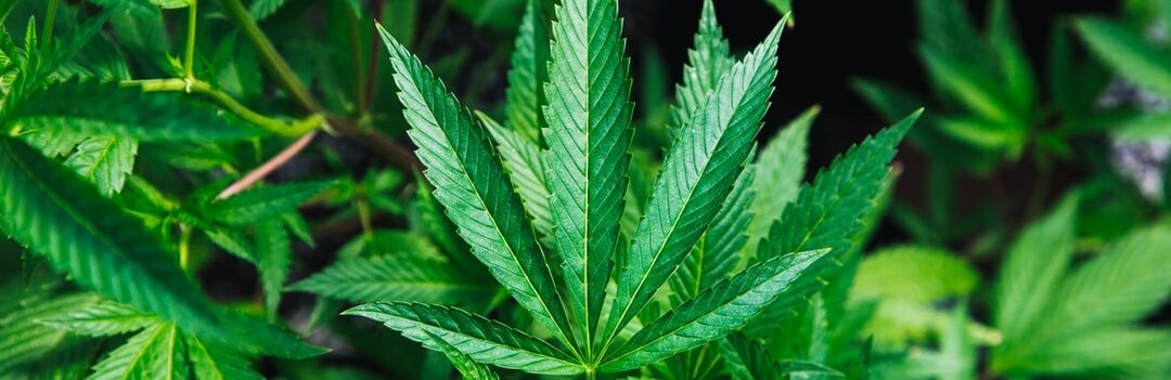  ��������� ��������� �������� ����� ������� 