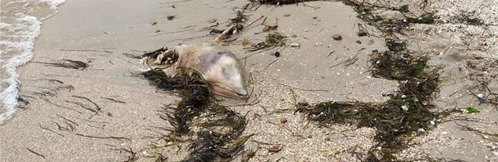  ����� ��������� ���������� ������� �������� ����� ���� 