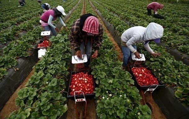  ���������� ���������� ���� ���� 