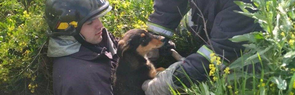  ��������� ������ ������ ����� ������� 