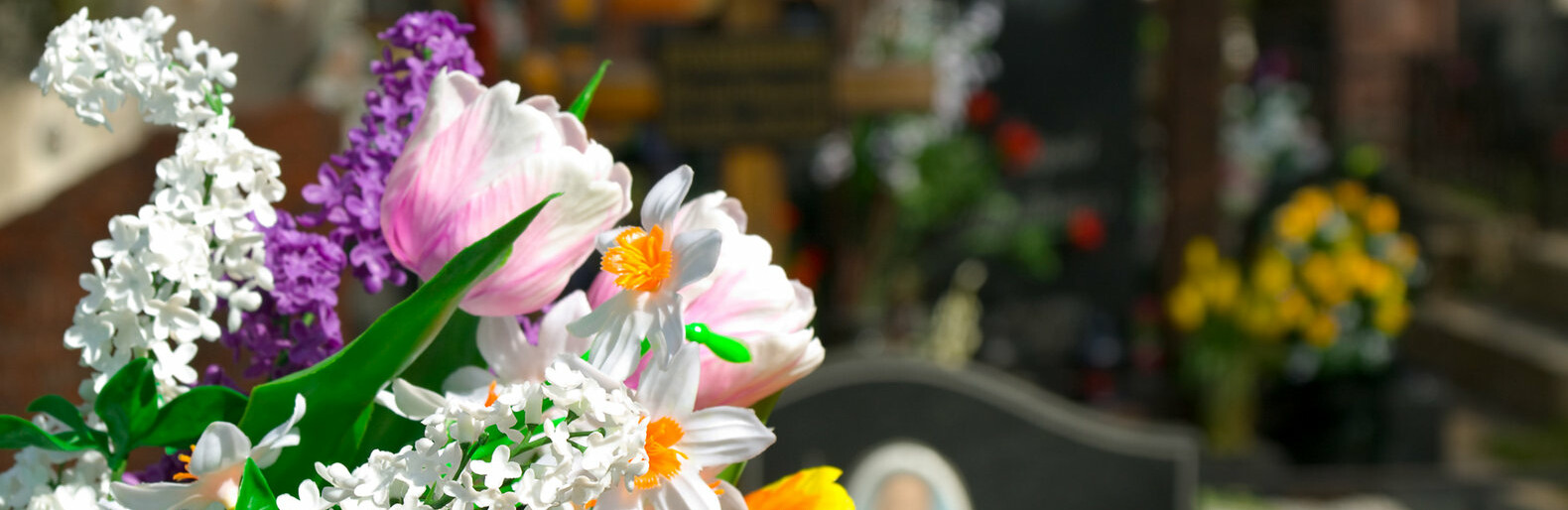  ��������� ������� ���� �������� ���������� 