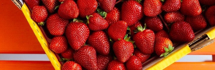  ��������� ������������ ������ ���� 