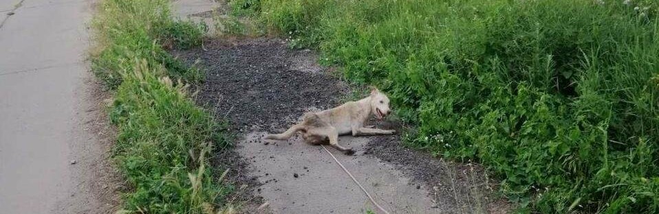  ��������� �������� ������ ���������������� ������� 