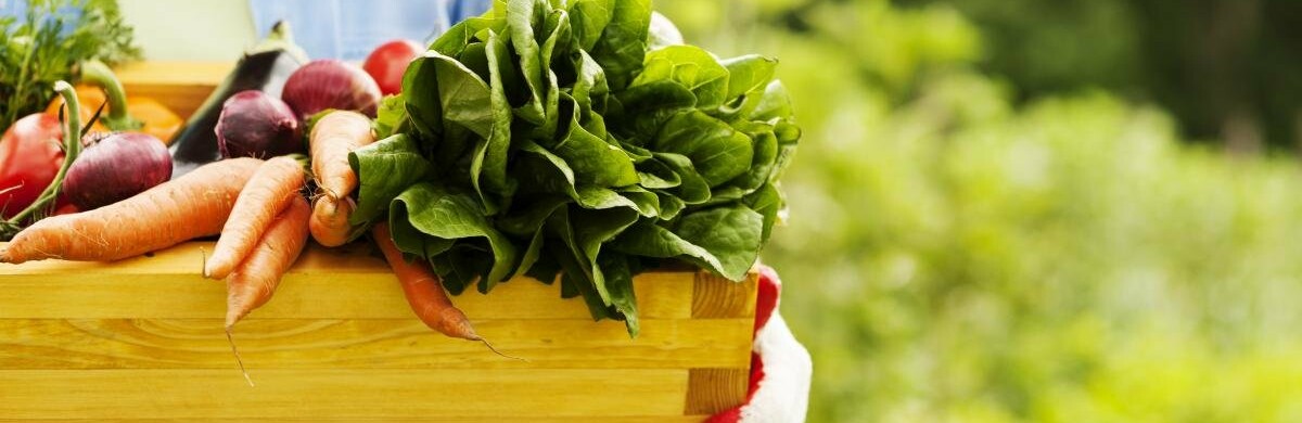  ������� ��������� ���������������� ���������� 