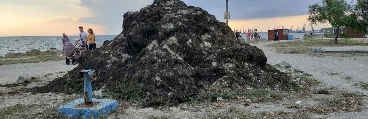  �������� ���� ������ ��������� 