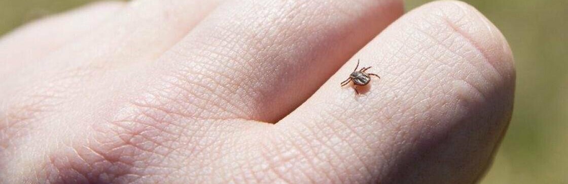  ����������� ������� ������� �������� ������ ������ 