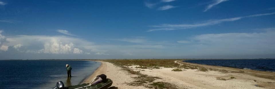  �������� ������ ������� ���� 