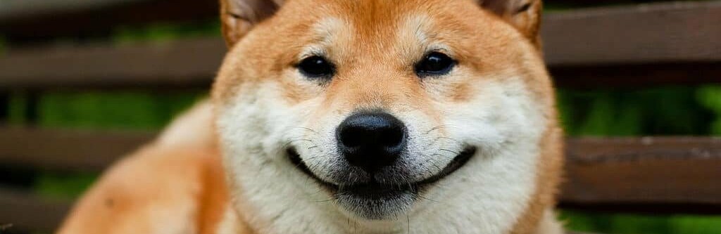  ��������� ����� ��������� ���� 