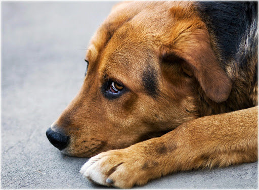  ������ ��������� ����������� ����������� ���������� ������������ �������� 