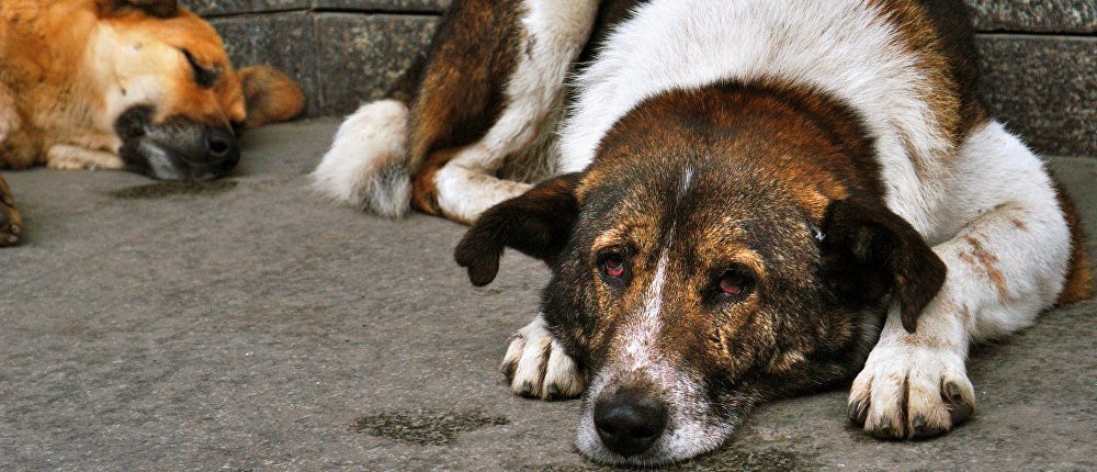  ������� ����������� �������� ����� ����������� ����� ��������� 