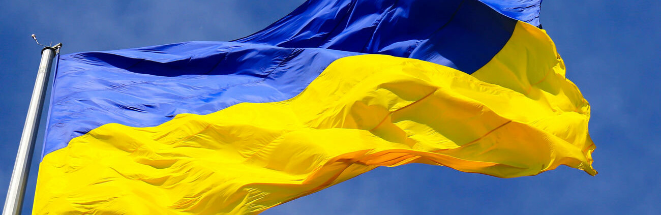  �������� ����������� ���� ������������� 