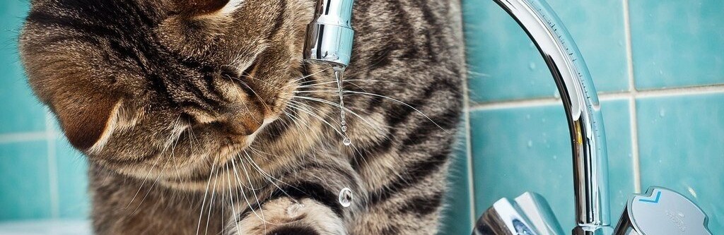  ����� ��������� ��������� ������������� 