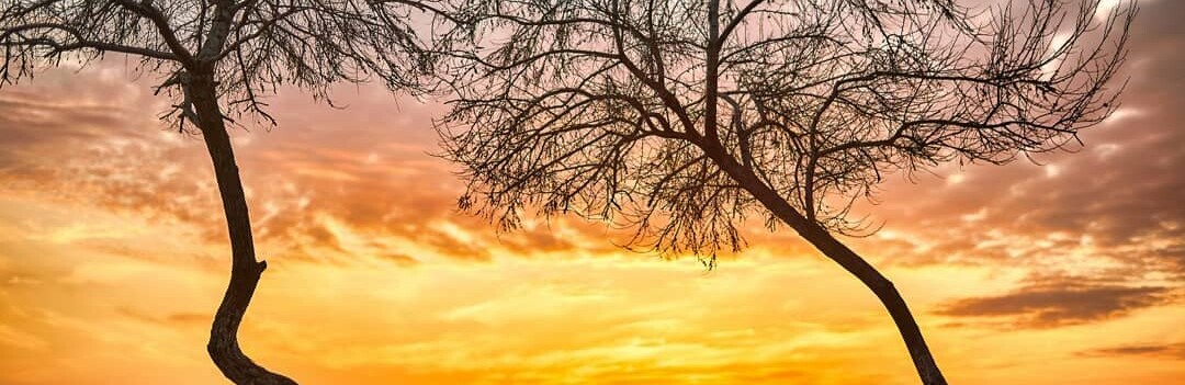  �������� �������� ��������� ������ �������� 