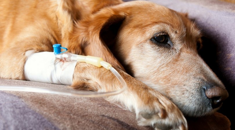  ��������� �������� �������� ������ �������� 