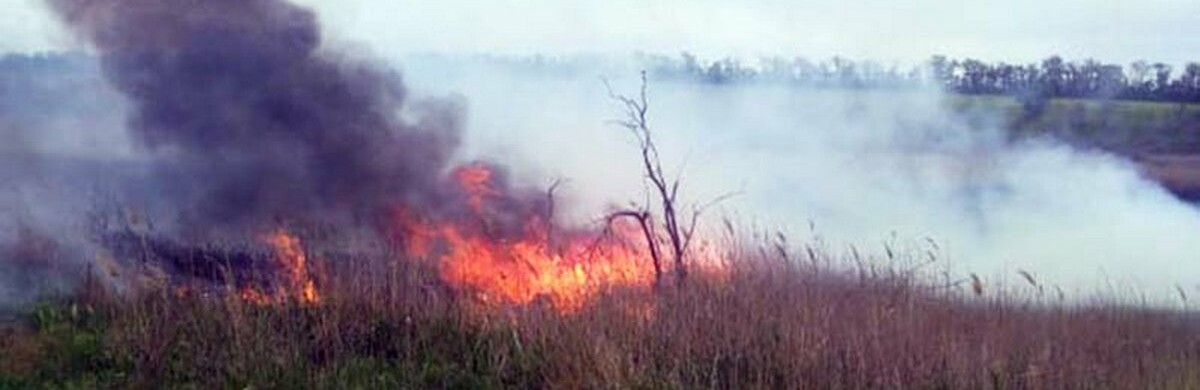  ��������� ��������� ���������� ������� ������ ����������� 