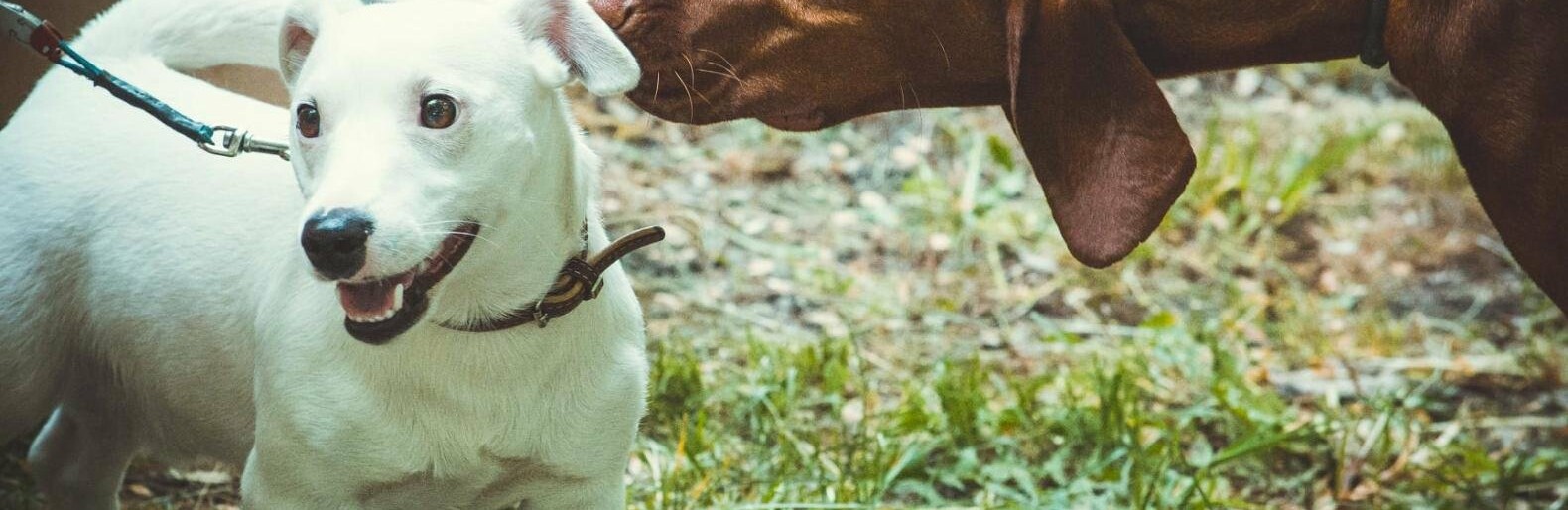  ��������� ������ �������� ����������� ����� 