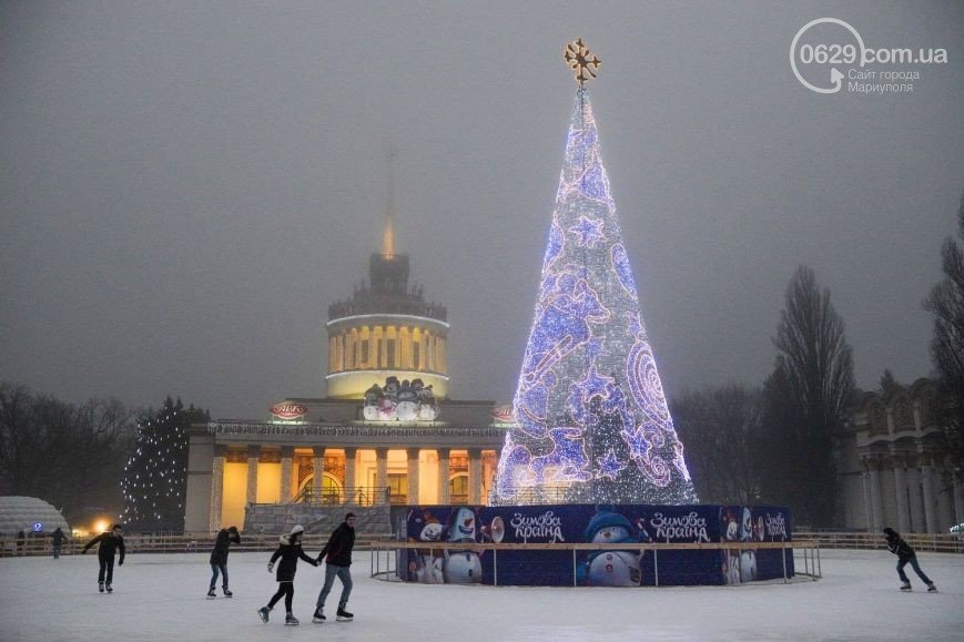 Новогодний креатив. Самые необычные елки Украины (ФОТОПОДБОРКА) (фото) - фото 28