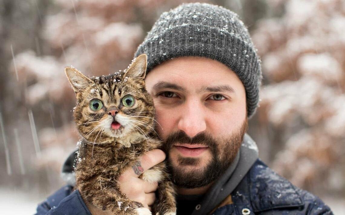 Lil Bub - звезда Instagram, неожиданно умер, фото-1 Lil Bub - звезда Instagram, неожиданно умер, фото-1