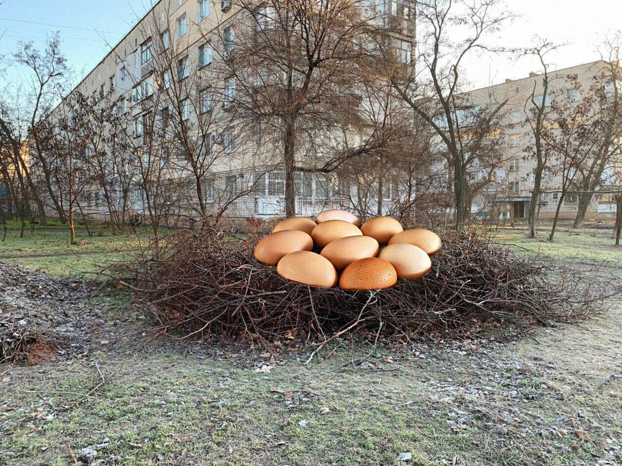 Бердянск в опасности! Обнаружены новые формы жизни! (фото), фото-2 Бердянск в опасности! Обнаружены новые формы жизни! (фото), фото-2