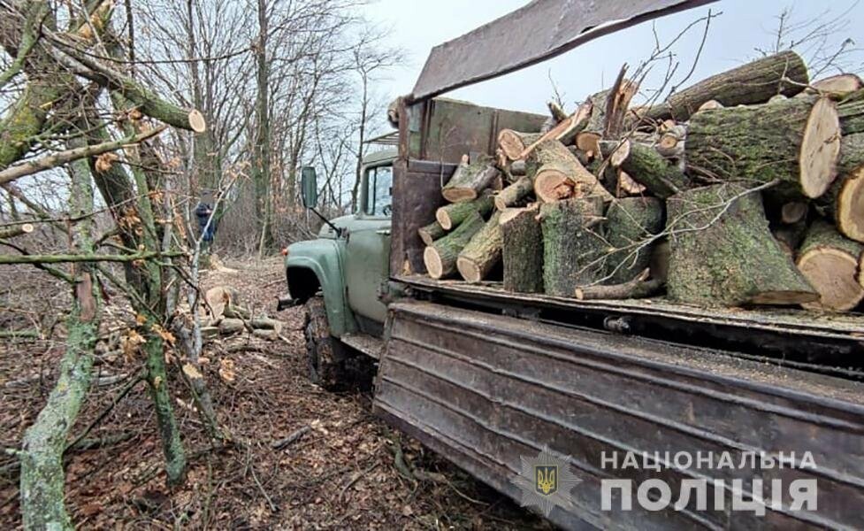 В Запорожской области активизировались «черные лесорубы» (ФОТО), фото-3